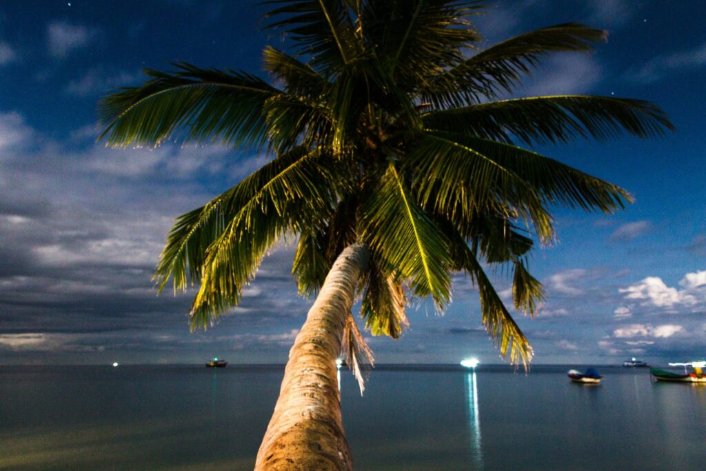 Koh Tao – odkryj podwodny świat i tropikalne piękno wyspy 16