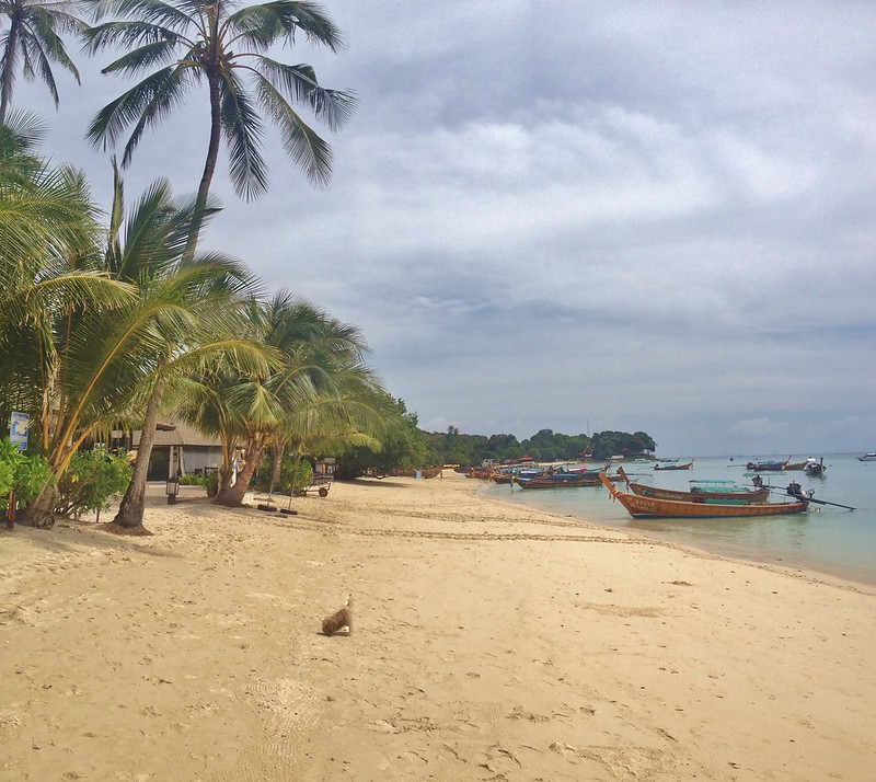 Koh Phi Phi, czyli raj na Ziemi w Tajlandii 10