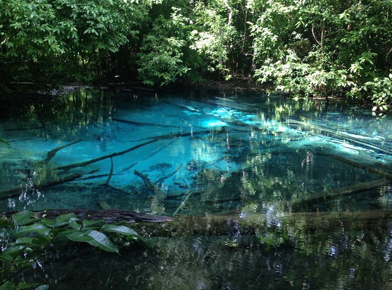 Emerald Pool - Szmaragdowy Basen w dżungli Krabi 2