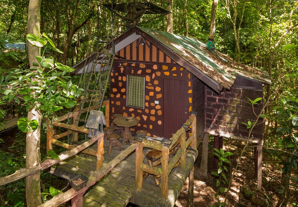 Domek na drzewie w tropikalnej dżungli Khao Sok, otoczony bujną roślinnością.