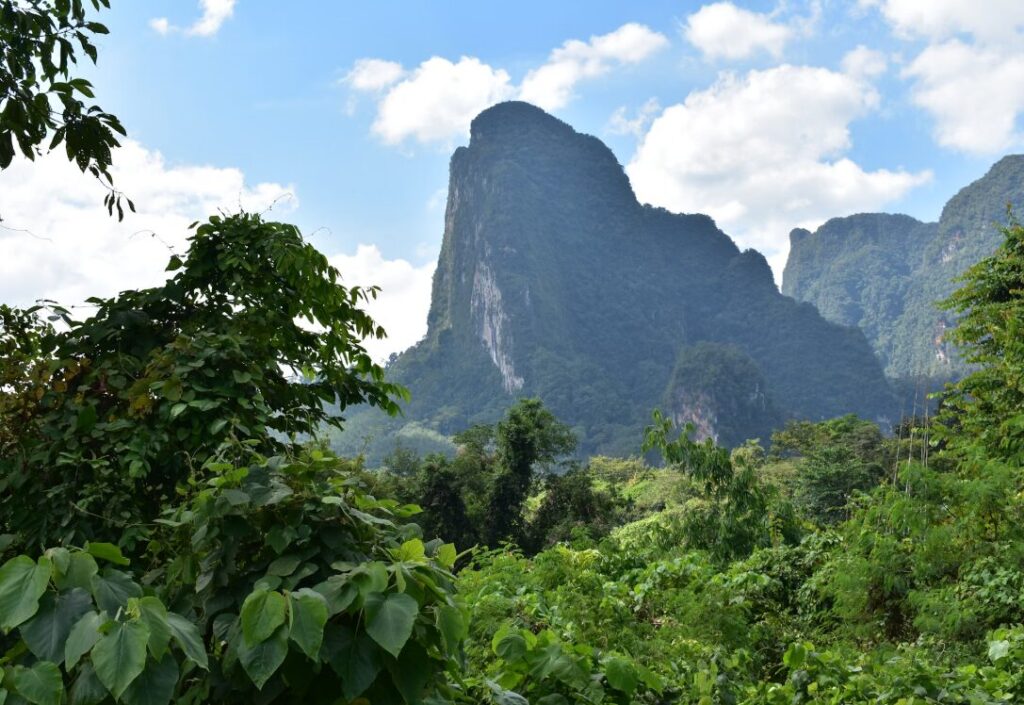 Szlak trekkingowy w Khao Sok prowadzący przez tropikalną dżunglę z widokiem na wapienne klify.