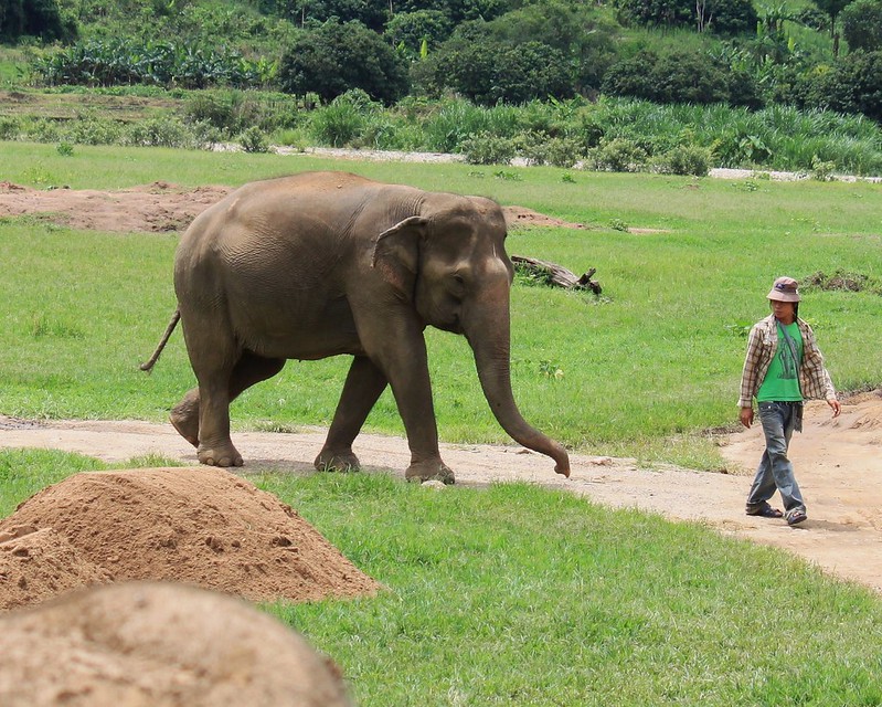 Phuket czy Koh Samui – którą wyspę wybrać na wakacje? 11