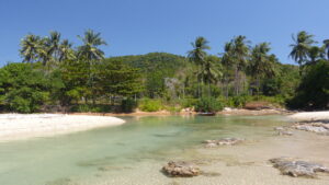 Plaża Klong Khong na Koh Lanta z palmami i łagodnym brzegiem w słoneczny dzień.