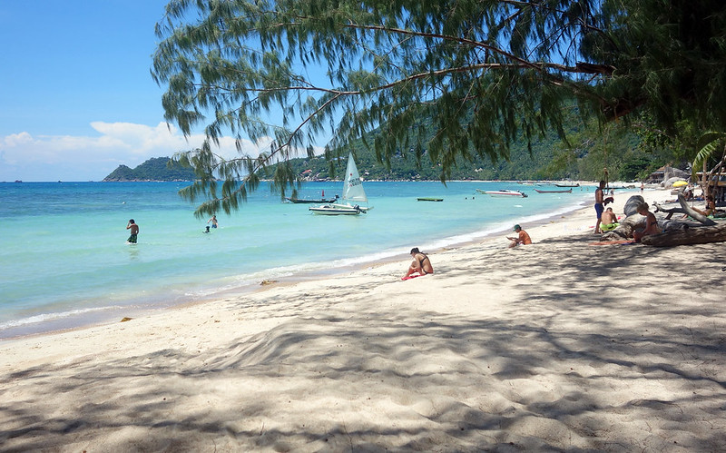 Sairee Beach - Główna plaża Koh Tao 5