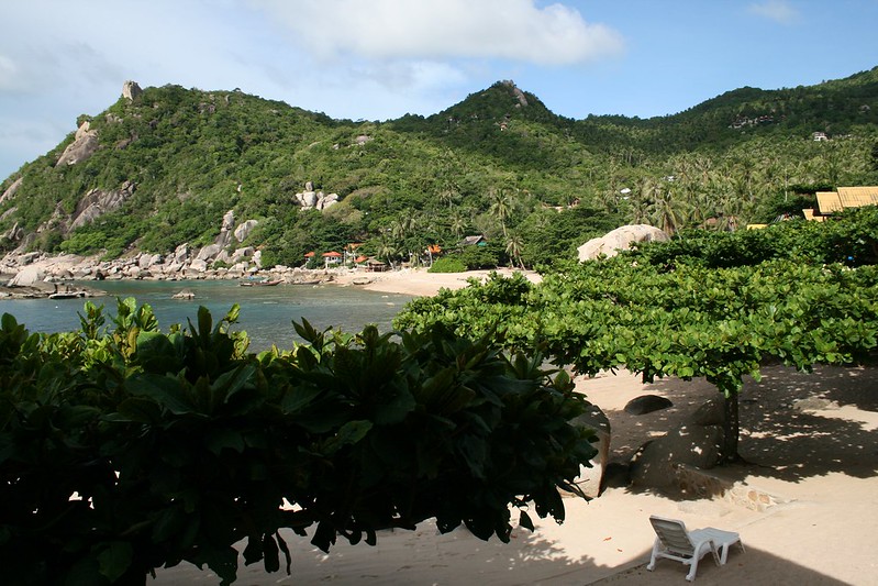 Tanote Bay na Koh Tao – co robić, jak się dostać, czy warto? 1