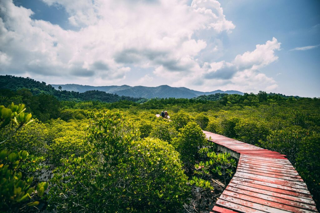 Koh Chang – zielona perła Tajlandii pełna rajskich plaż i dzikiej natury 14