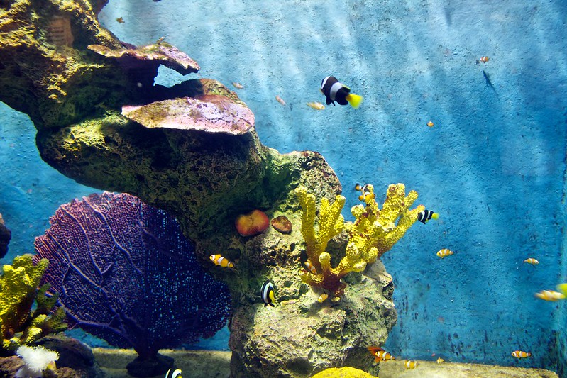 29 atrakcji Phuket. Co warto zobaczyć i zrobić? 9