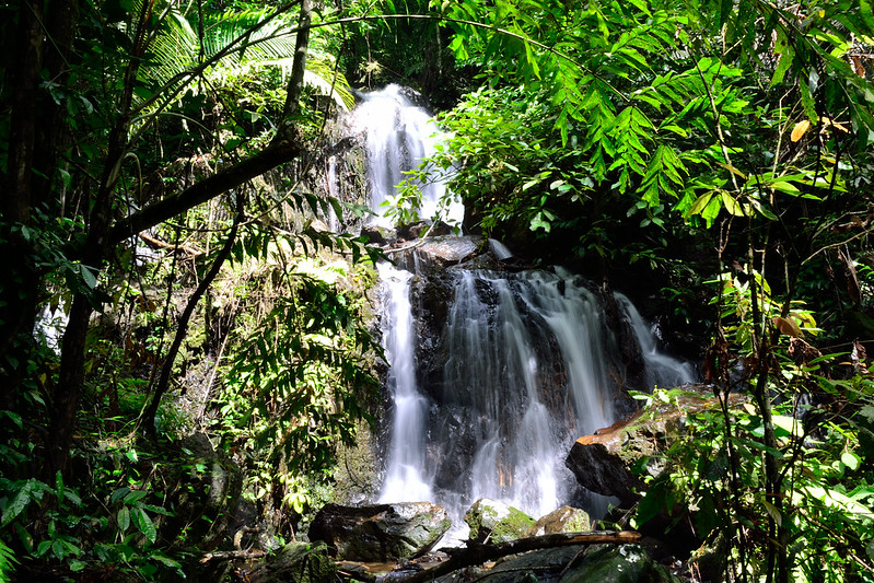 Bang Tao Beach ⛱️ - Phuket. Wszystko co musisz wiedzieć 5