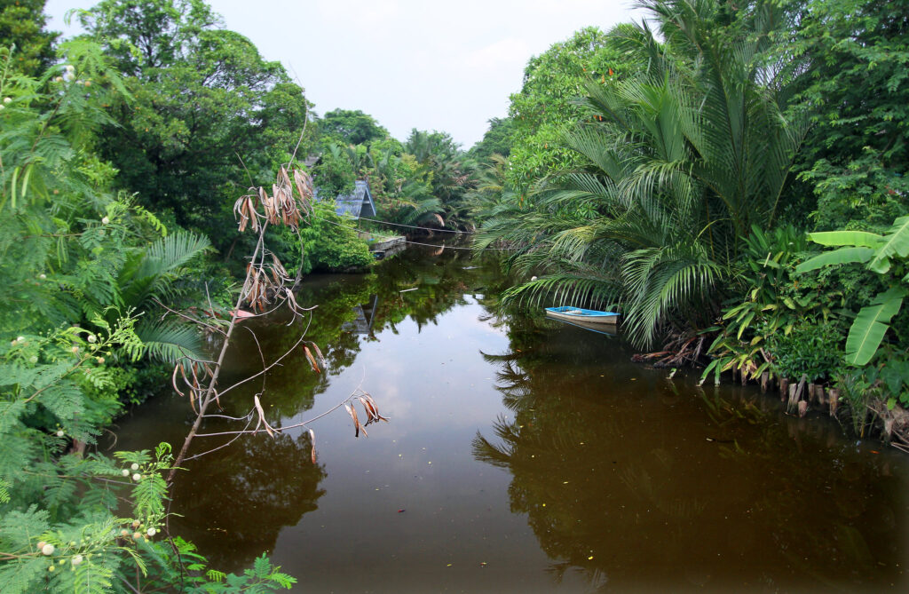 Bang Krachao – zielone płuca Bangkoku
