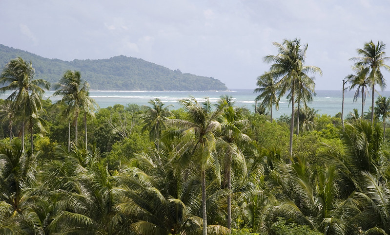 Mai Khao Beach – Dzika, Długa plaża Na Phuket pod samolotami 6